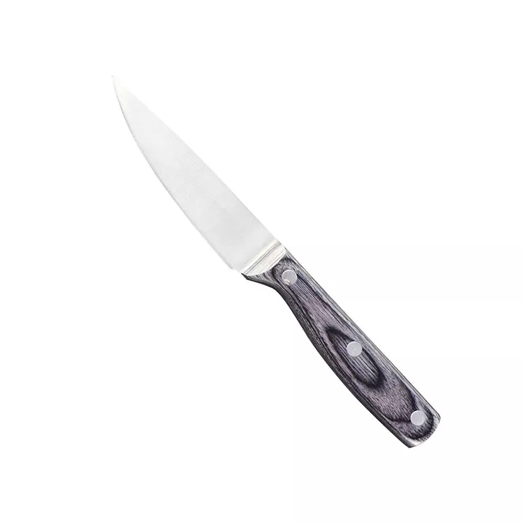 Korkea standardi ruostumattomasta teräksestä valmistettu veitsi Chef Knife Utility Knife Set Pakka puukahvalla 